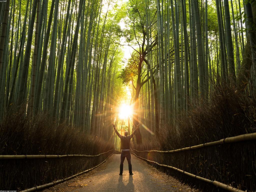 សំណាងនិងអត្ថប្រយោជន៍៖ បទដ្ឋាននៃជីវិត