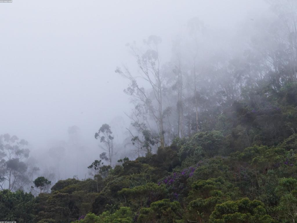 ការណែនាំសម្រាប់អ្នកថ្មី