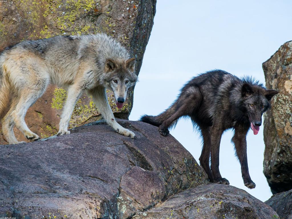 បទពិសោធន៍ដើម្បីជោគជ័យ