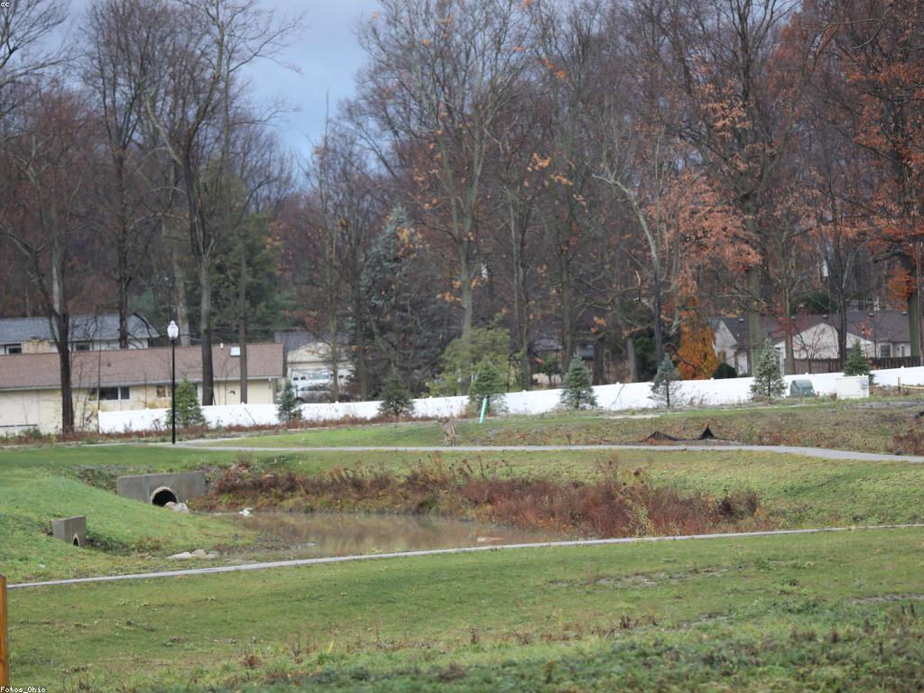 កម្រិត​នៃ​ហ្គេម: ការវិចារណា និងការជ្រើសរើស